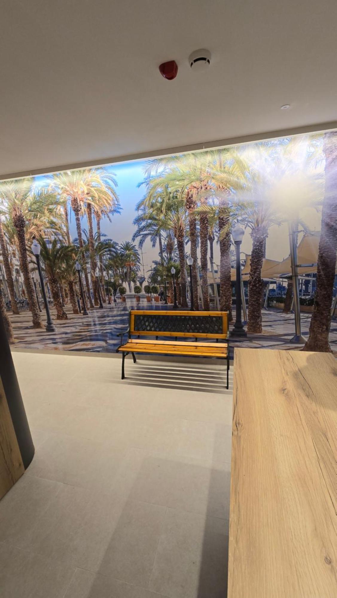 Hostal Rambla 24 By Holihome อาลิกันเต ภายนอก รูปภาพ